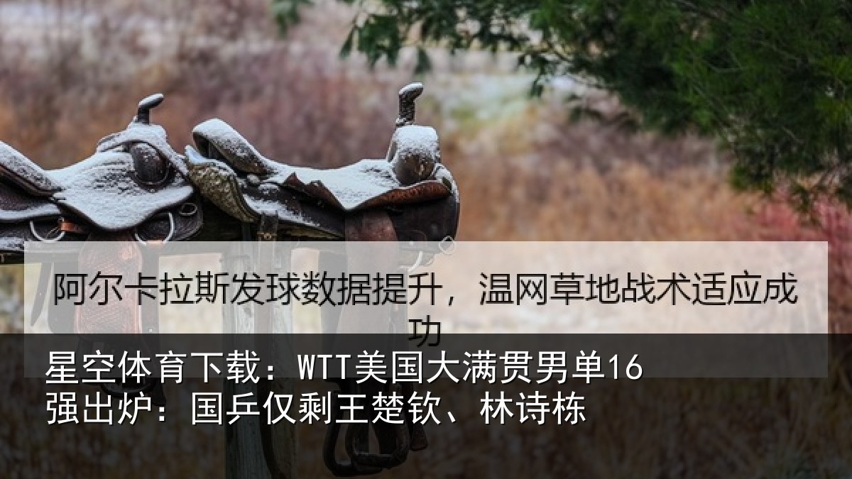 星空体育下载:WTT美国大满贯男单16强出炉:国乒仅剩王楚钦、林诗栋