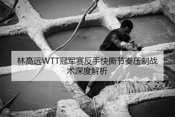 林高远WTT冠军赛反手快撕节奏压制战术深度解析