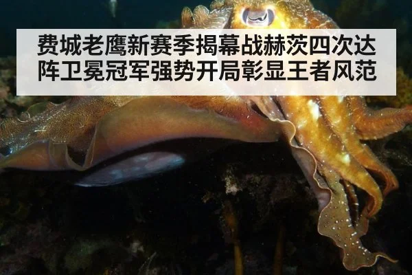 费城老鹰新赛季揭幕战赫茨四次达阵卫冕冠军强势开局彰显王者风范