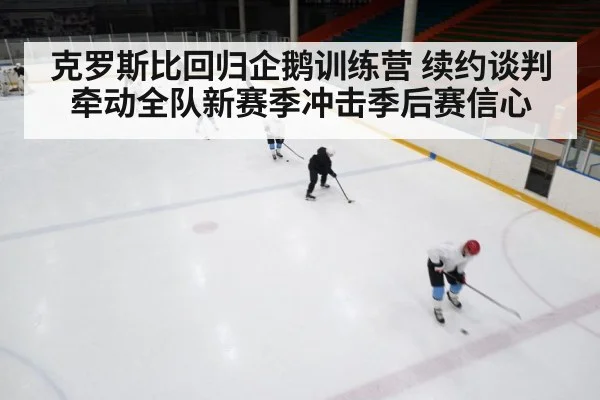 克罗斯比回归企鹅训练营 续约谈判牵动全队新赛季冲击季后赛信心